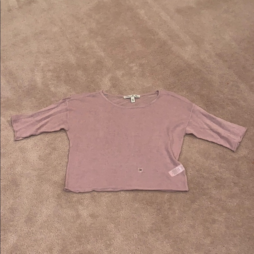 Express Light Pink Sheer Crop Top